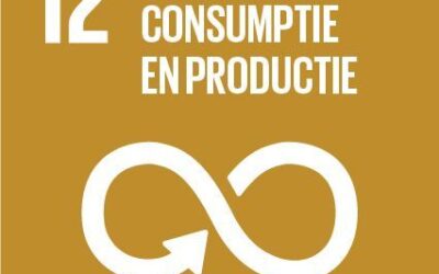 SDG 12: Verantwoorde consumptie en productie